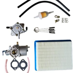Club Car DS / Precedent Gas (FE290 Engine) Carburetor Fuel Filter Kit