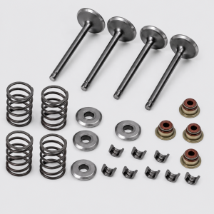 EZGO Fuji Robin 295cc / 350cc (1991–2008) - Intake & Exhaust Valve Kit
